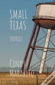 Capa do artigo Small Texas