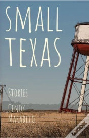 Capa do artigo Small Texas