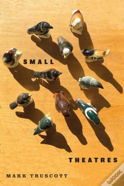 Capa do artigo Small Theatres