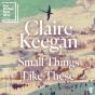 Small Things Like These - Preview