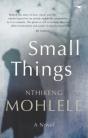 Small Things - Preview