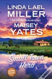Capa do artigo Small Town Hero