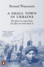 Small Town In Ukraine - Preview