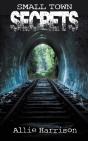 Small Town Secrets - Preview