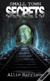 Capa do artigo Small Town Secrets