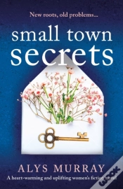 Capa do artigo Small Town Secrets