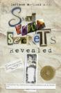 Small Town Secrets - Preview
