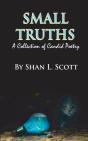 Small Truths - Preview