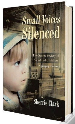 Capa do artigo Small Voices Silenced