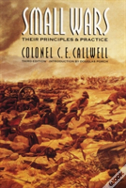 Capa do artigo Small Wars