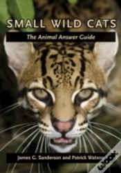 Capa do artigo Small Wild Cats