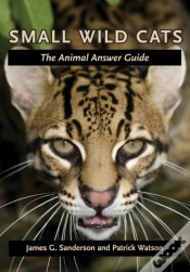 Capa do artigo Small Wild Cats