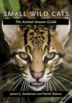 Capa do artigo Small Wild Cats