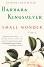 Small Wonder - Preview