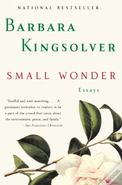 Capa do artigo Small Wonder