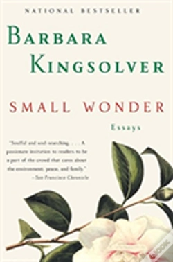 Capa do artigo Small Wonder