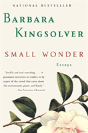 Small Wonder - Preview
