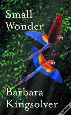 Capa do artigo Small Wonder