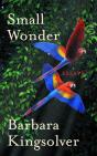 Small Wonder - Preview