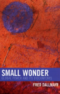 Small Wonder - Preview