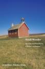Small Wonder - Preview
