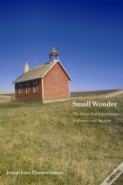 Capa do artigo Small Wonder
