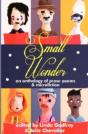Small Wonder - Preview