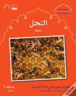 Capa do artigo Small Wonders: Bees