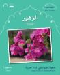 Small Wonders: Flowers - Preview