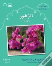 Capa do artigo Small Wonders: Flowers