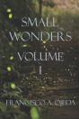 Small Wonders I - Preview