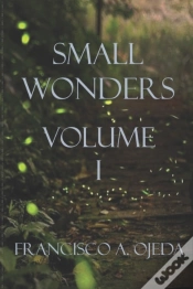 Capa do artigo Small Wonders I