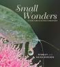 Small Wonders - Preview