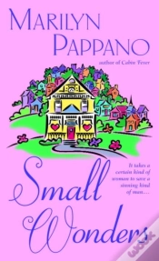 Capa do artigo Small Wonders