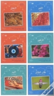 Capa do artigo Small Wonders Series: Complete Set