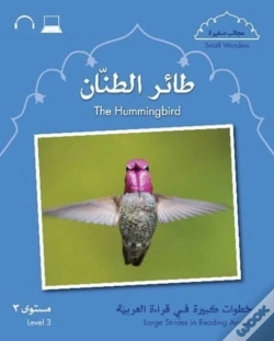 Capa do artigo Small Wonders: The Hummingbird