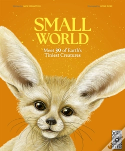 Capa do artigo Small World