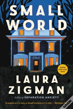 Capa do artigo Small World