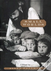 Small Worlds