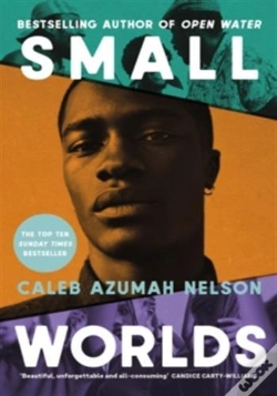 Capa do artigo Small Worlds