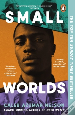 Capa do artigo Small Worlds