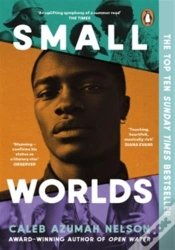 Capa do artigo Small Worlds