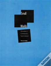 Capa do artigo Small Worlds