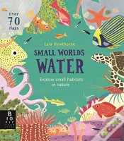 Capa do artigo Small Worlds: Water