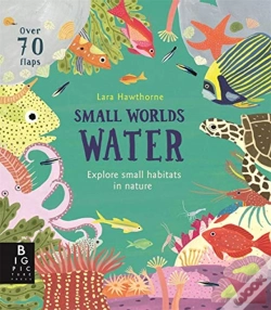 Capa do artigo Small Worlds: Water