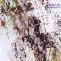 Smallcreep's Day - CD - Preview