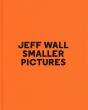 Smaller Pictures - Preview