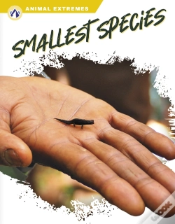 Capa do artigo Smallest Species