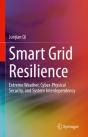 Smart Grid Resilience - Preview