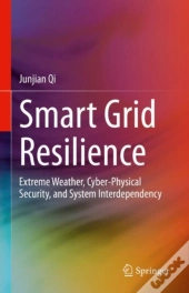 Smart Grid Resilience